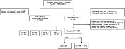 Thyroidectomy without lymph node dissection should be considered for stage T1 medullary thyroid carcinoma: a population-based cohort study